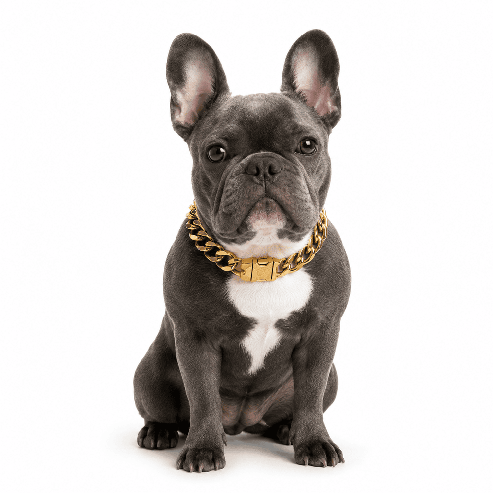 Your pet photo